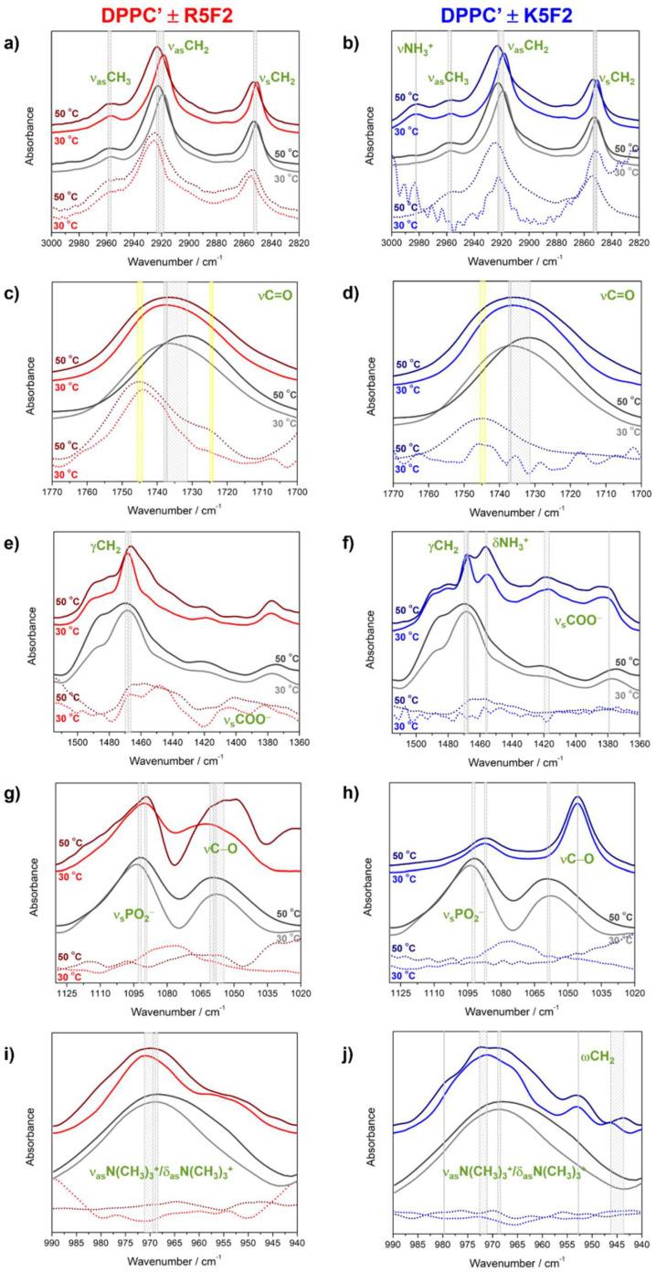 https://cdn.ncbi.nlm.nih.gov/pmc/blobs/8aeb/10376034/e99bd3184698/antibiotics-12-01216-g003.jpg