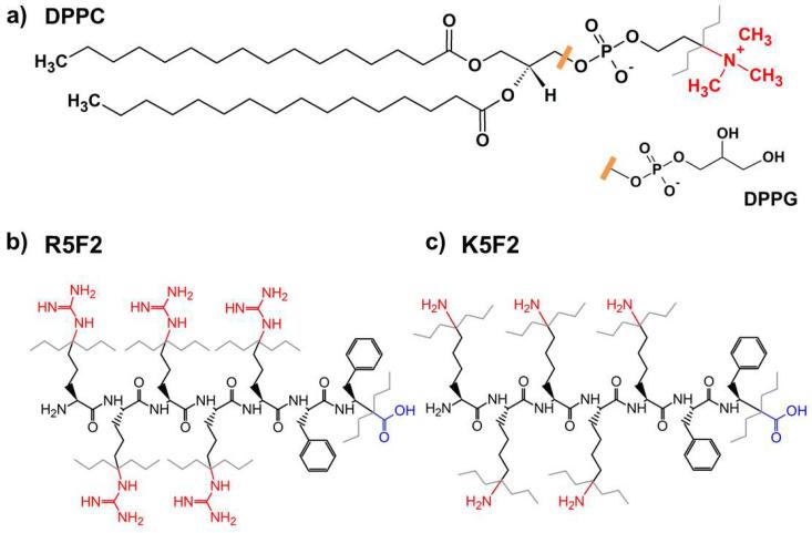 https://cdn.ncbi.nlm.nih.gov/pmc/blobs/8aeb/10376034/fcaf33da7ec1/antibiotics-12-01216-g001.jpg