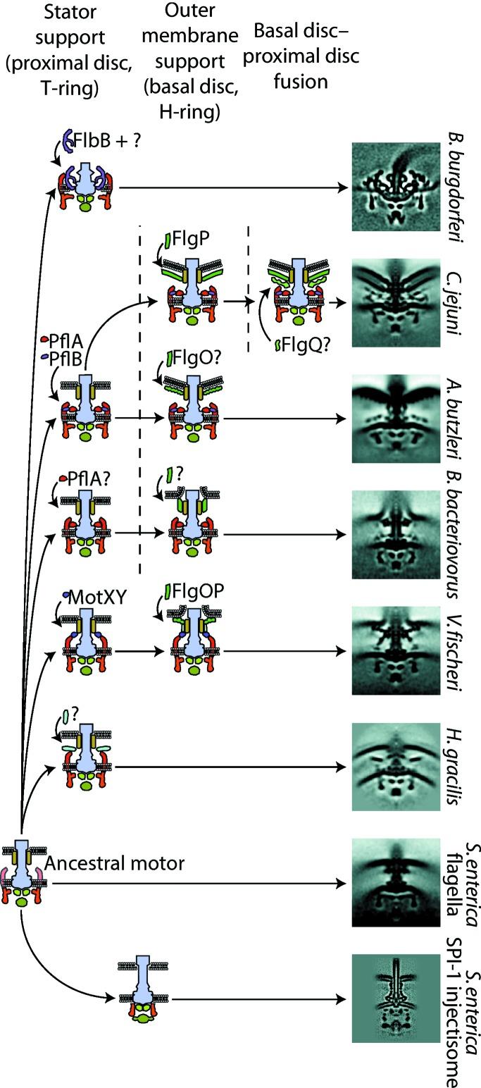 https://cdn.ncbi.nlm.nih.gov/pmc/blobs/8af8/6096493/b4ee42d94e47/d-74-00585-fig5.jpg