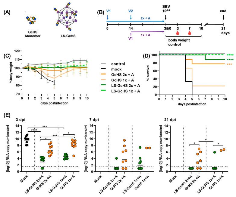 https://cdn.ncbi.nlm.nih.gov/pmc/blobs/8b1e/8232151/0ca426b452df/vaccines-09-00651-g006.jpg