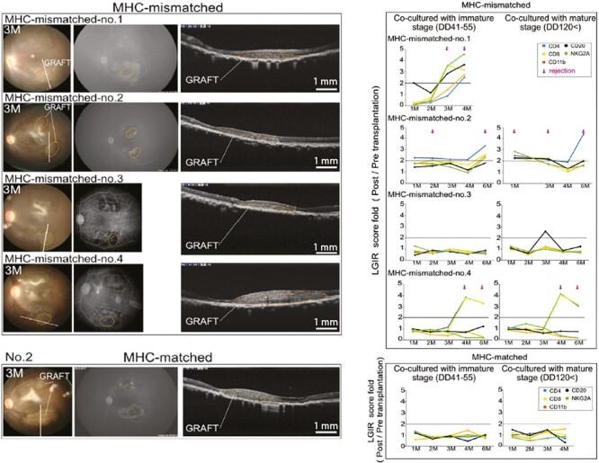 https://cdn.ncbi.nlm.nih.gov/pmc/blobs/8b25/11016853/9196236fb405/szae005_fig5.jpg