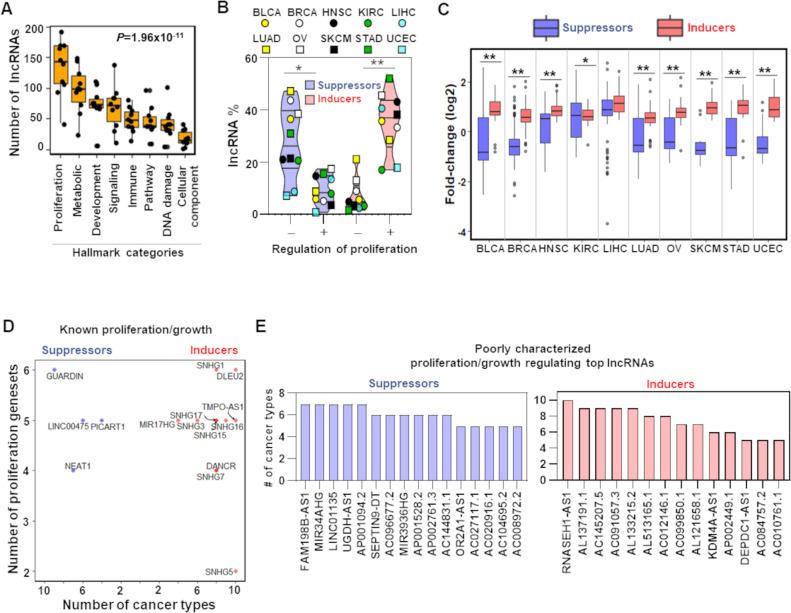 https://cdn.ncbi.nlm.nih.gov/pmc/blobs/8b28/9191893/27479a875adb/elife-77357-fig2.jpg
