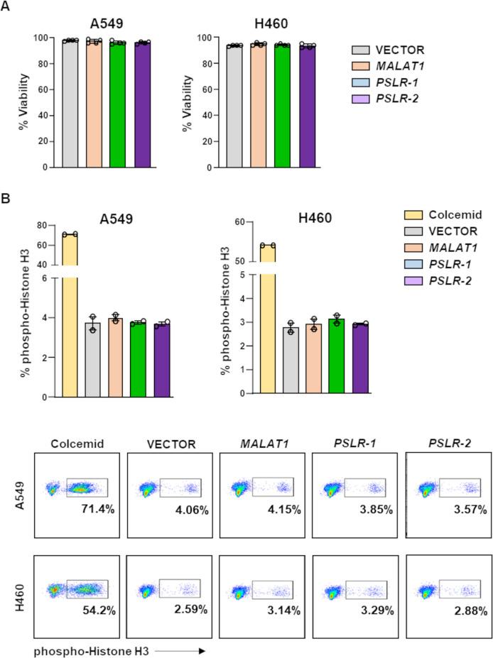 https://cdn.ncbi.nlm.nih.gov/pmc/blobs/8b28/9191893/32c376181651/elife-77357-fig5-figsupp1.jpg