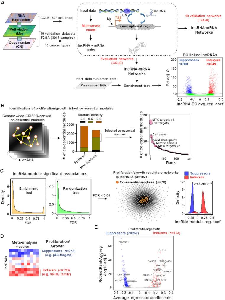 https://cdn.ncbi.nlm.nih.gov/pmc/blobs/8b28/9191893/bf2a20b8cdb0/elife-77357-fig1.jpg