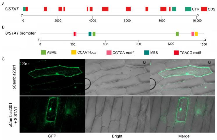 https://cdn.ncbi.nlm.nih.gov/pmc/blobs/8b2f/11989334/69cd86be1046/ijms-26-03338-g001.jpg