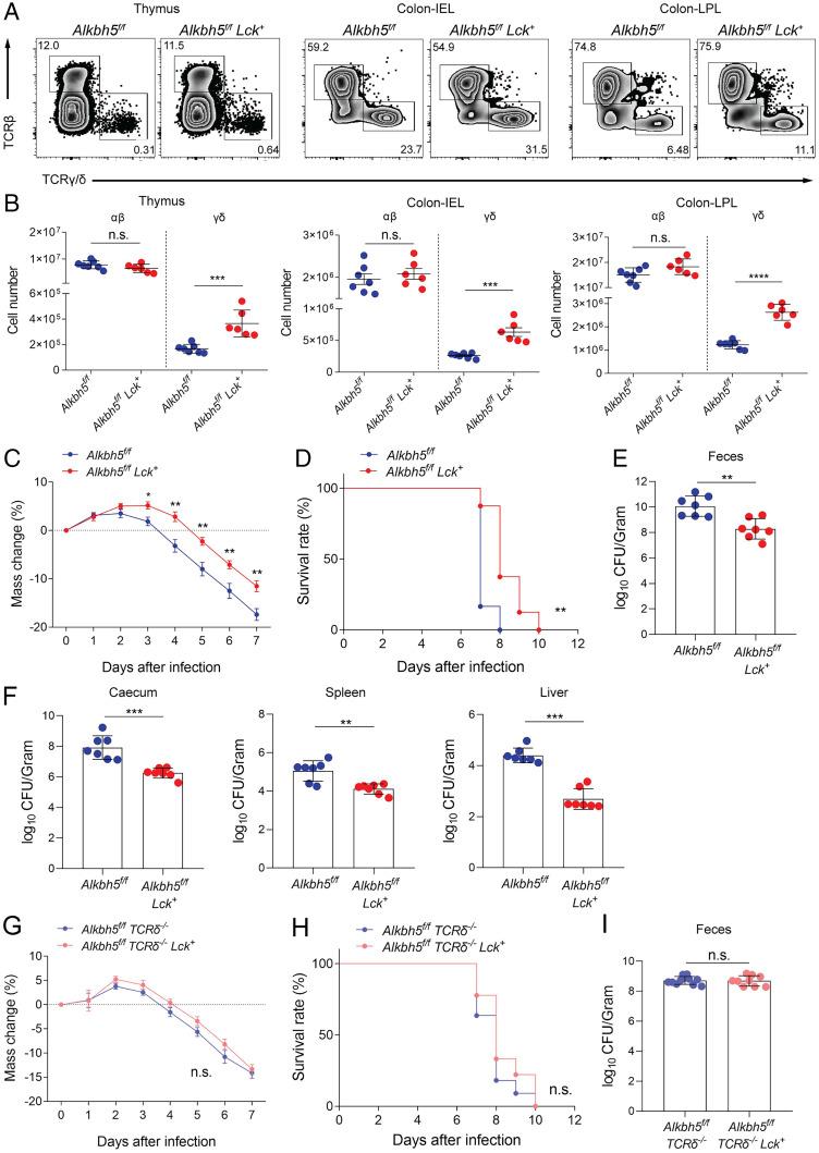 https://cdn.ncbi.nlm.nih.gov/pmc/blobs/8b2f/9388086/494883a0d903/pnas.2203318119fig01.jpg