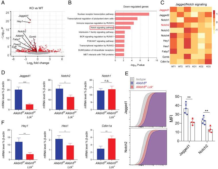 https://cdn.ncbi.nlm.nih.gov/pmc/blobs/8b2f/9388086/db2e90bb42b3/pnas.2203318119fig04.jpg
