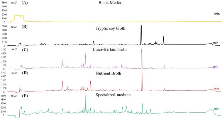 https://cdn.ncbi.nlm.nih.gov/pmc/blobs/8b40/12383431/fac65b296a7c/biomolecules-15-01071-g006.jpg