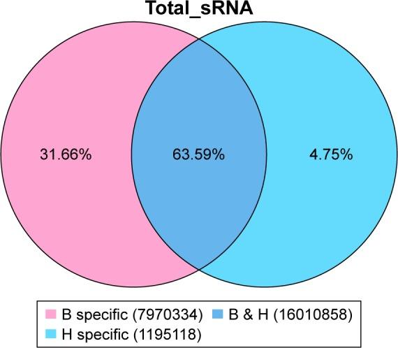 https://cdn.ncbi.nlm.nih.gov/pmc/blobs/8b48/5836692/fd6ebe8b801d/copd-13-741Fig2.jpg
