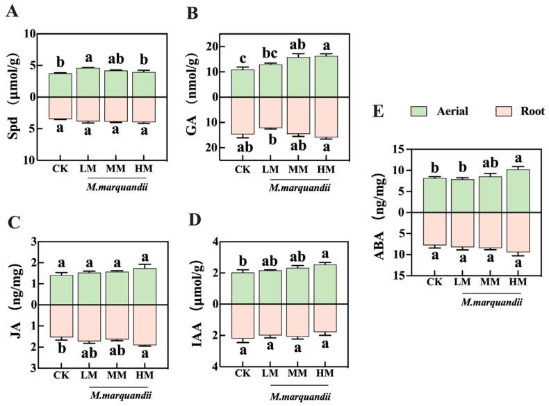 https://cdn.ncbi.nlm.nih.gov/pmc/blobs/8b7c/11722606/abfaee2b553b/plants-14-00058-g004.jpg