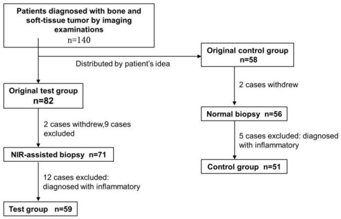 https://cdn.ncbi.nlm.nih.gov/pmc/blobs/8b82/10136962/0bf737b27754/cancers-15-02402-g002.jpg