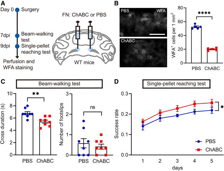 https://cdn.ncbi.nlm.nih.gov/pmc/blobs/8b8d/12311955/1788914b825c/gr4.jpg