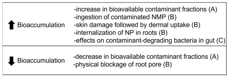 https://cdn.ncbi.nlm.nih.gov/pmc/blobs/8b8d/9958926/42dd4c061480/toxics-11-00154-g006.jpg