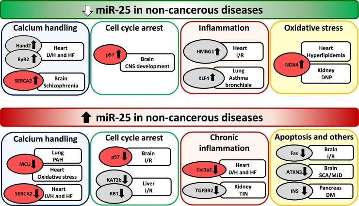 https://cdn.ncbi.nlm.nih.gov/pmc/blobs/8b9b/5940376/80151d6d11e1/oncotarget-09-21580-g002.jpg