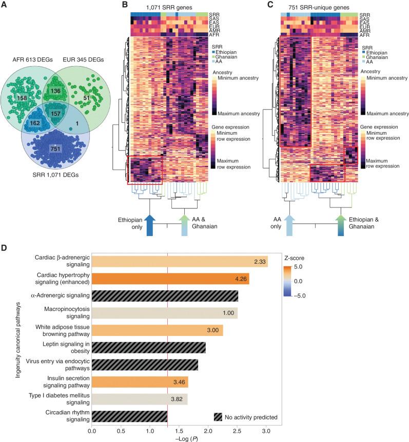 https://cdn.ncbi.nlm.nih.gov/pmc/blobs/8baa/9627137/3cd949e75fbc/2530fig6.jpg
