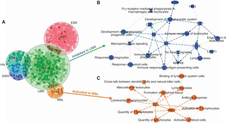 https://cdn.ncbi.nlm.nih.gov/pmc/blobs/8baa/9627137/5dc3a074e563/2530fig3.jpg