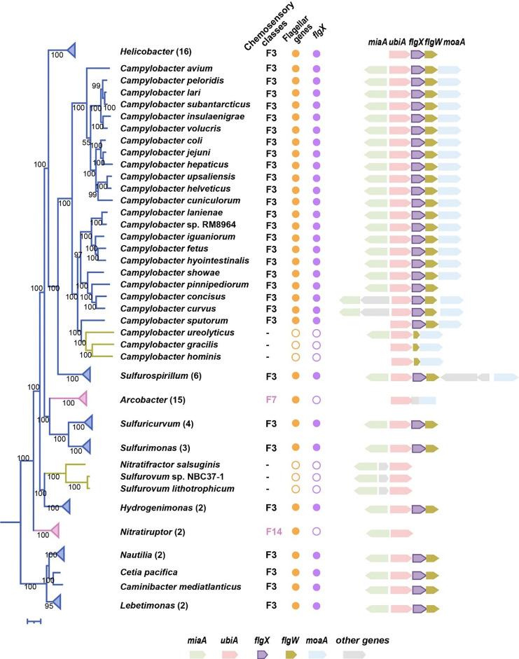 https://cdn.ncbi.nlm.nih.gov/pmc/blobs/8bb3/11725899/60f2ca94d08f/pnas.2412594121fig06.jpg