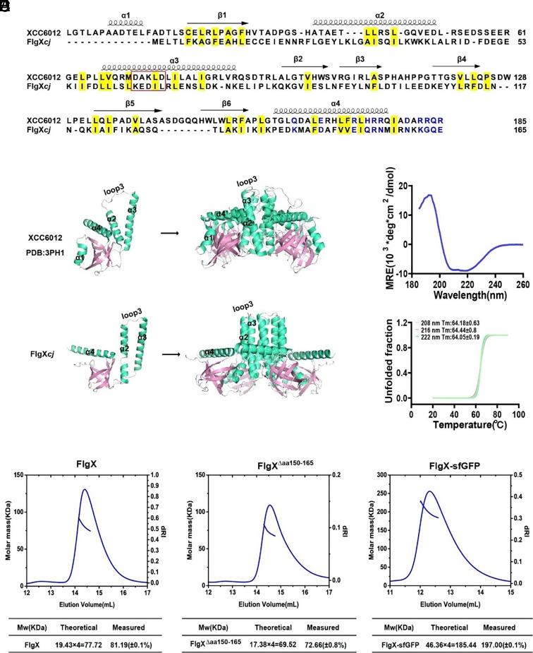 https://cdn.ncbi.nlm.nih.gov/pmc/blobs/8bb3/11725899/83f8dff55837/pnas.2412594121fig01.jpg