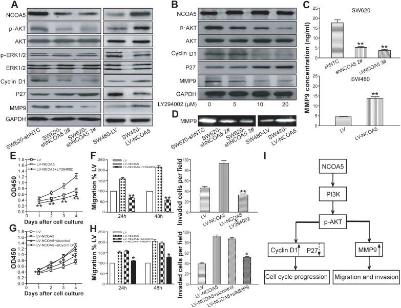 https://cdn.ncbi.nlm.nih.gov/pmc/blobs/8bc8/5746116/a5413dd9dd74/oncotarget-08-107932-g006.jpg