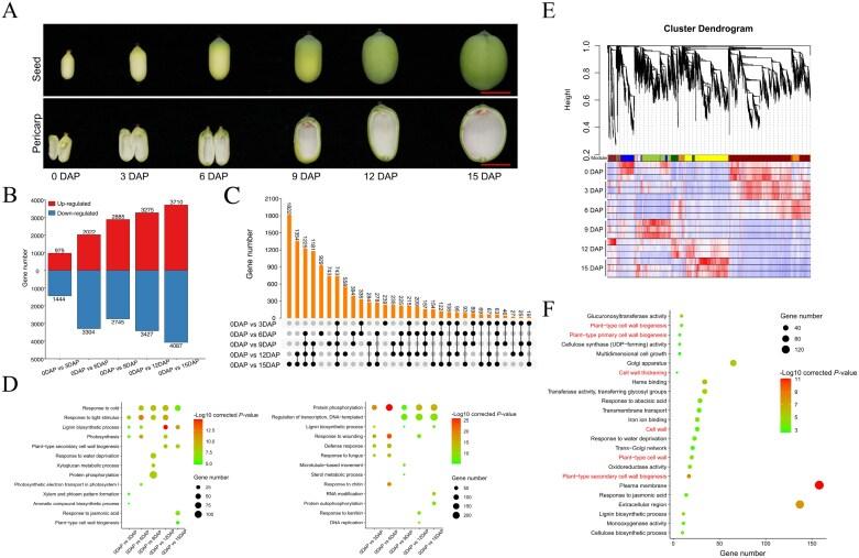 https://cdn.ncbi.nlm.nih.gov/pmc/blobs/8bf3/12351163/433f30755801/erae432_fig2.jpg