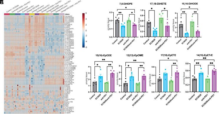 https://cdn.ncbi.nlm.nih.gov/pmc/blobs/8c02/10873624/10b41b9a3646/pnas.2314085121fig06.jpg
