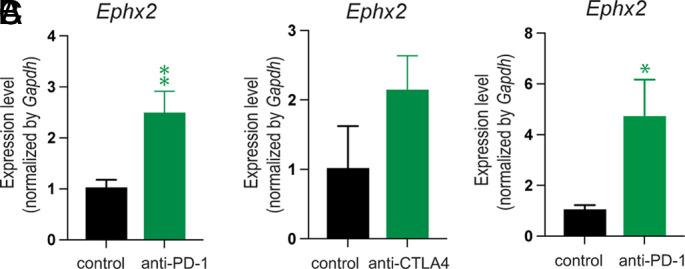 https://cdn.ncbi.nlm.nih.gov/pmc/blobs/8c02/10873624/700800cc4bb5/pnas.2314085121fig01.jpg