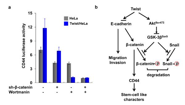 https://cdn.ncbi.nlm.nih.gov/pmc/blobs/8c07/3040162/69e6781a37d0/1471-2407-11-49-7.jpg