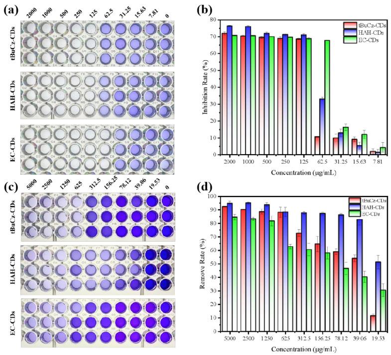 https://cdn.ncbi.nlm.nih.gov/pmc/blobs/8c09/12195800/7ce6d073e794/nanomaterials-15-00910-g008.jpg