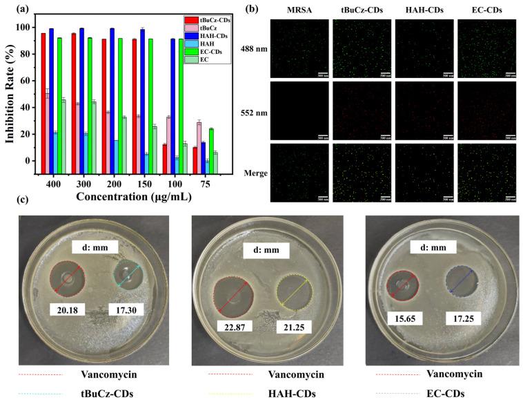 https://cdn.ncbi.nlm.nih.gov/pmc/blobs/8c09/12195800/950477bcd4af/nanomaterials-15-00910-g003.jpg