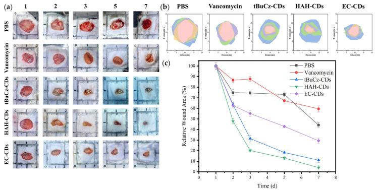 https://cdn.ncbi.nlm.nih.gov/pmc/blobs/8c09/12195800/ee397a97c294/nanomaterials-15-00910-g005.jpg