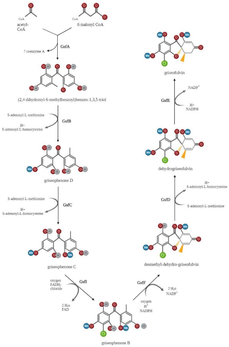 https://cdn.ncbi.nlm.nih.gov/pmc/blobs/8c0a/9610072/56563e6efef7/molecules-27-07034-g002.jpg