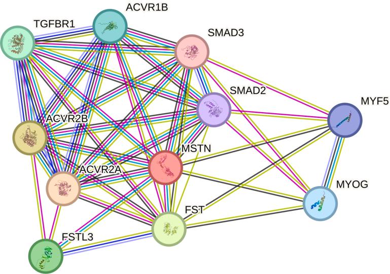 https://cdn.ncbi.nlm.nih.gov/pmc/blobs/8c16/12301908/786b85ada1ac/figs2.jpg