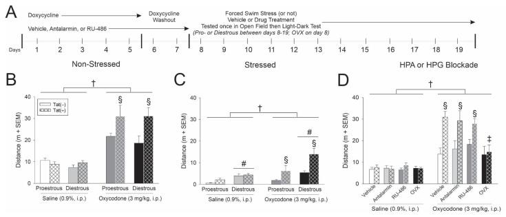 https://cdn.ncbi.nlm.nih.gov/pmc/blobs/8c19/8147167/862403fac6b6/viruses-13-00813-g001.jpg