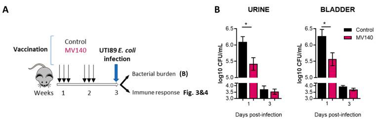 https://cdn.ncbi.nlm.nih.gov/pmc/blobs/8c22/11126127/8a21558183d3/vaccines-12-00535-g002.jpg