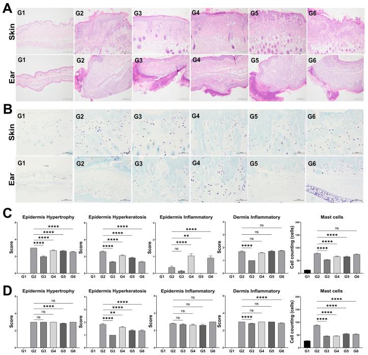 https://cdn.ncbi.nlm.nih.gov/pmc/blobs/8c42/12388198/ef5092cf70c3/microorganisms-13-01950-g005.jpg
