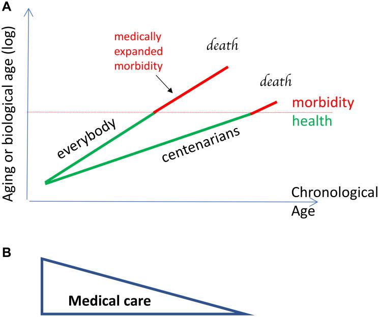 https://cdn.ncbi.nlm.nih.gov/pmc/blobs/8c44/8636159/c9f35a0ba83a/oncoscience-08-547-g003.jpg