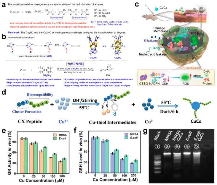 https://cdn.ncbi.nlm.nih.gov/pmc/blobs/8c45/12029963/1c5ac7c1aea4/microorganisms-13-00708-g004.jpg