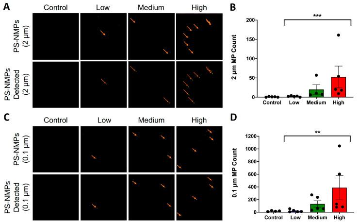 https://cdn.ncbi.nlm.nih.gov/pmc/blobs/8c4d/12158161/0f45dfcd5aec/nanomaterials-15-00812-g003.jpg