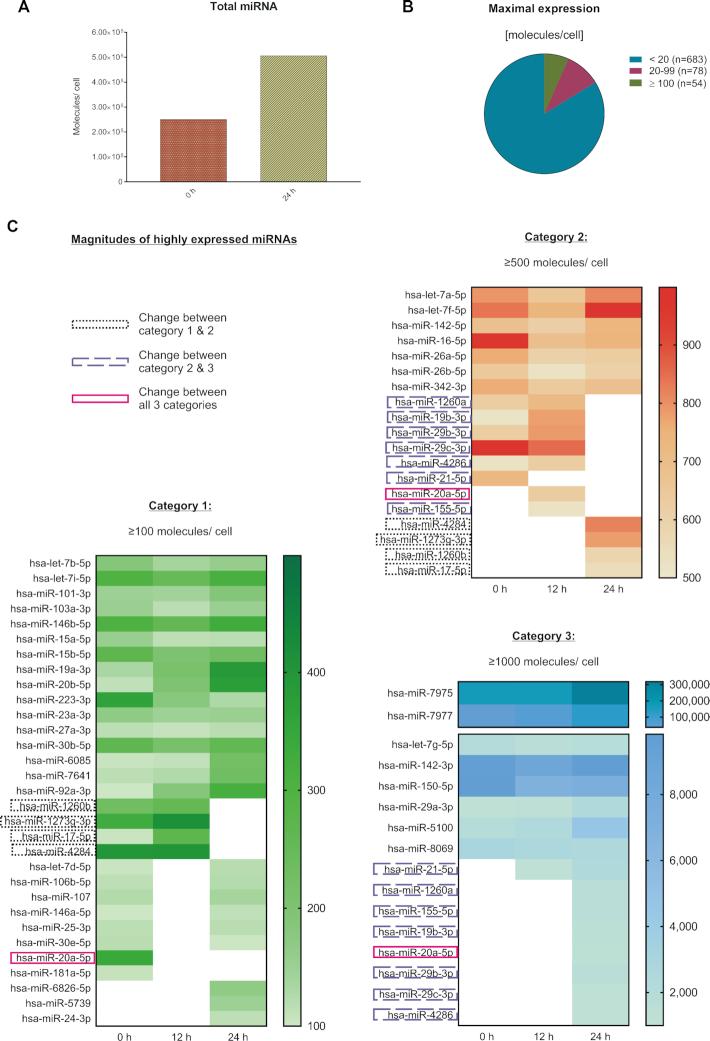 https://cdn.ncbi.nlm.nih.gov/pmc/blobs/8c56/7544210/35b7cd4fb226/gkaa788fig5.jpg