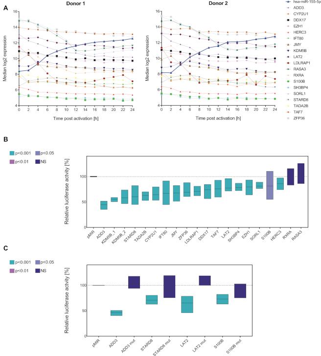 https://cdn.ncbi.nlm.nih.gov/pmc/blobs/8c56/7544210/4f9047058a8a/gkaa788fig7.jpg