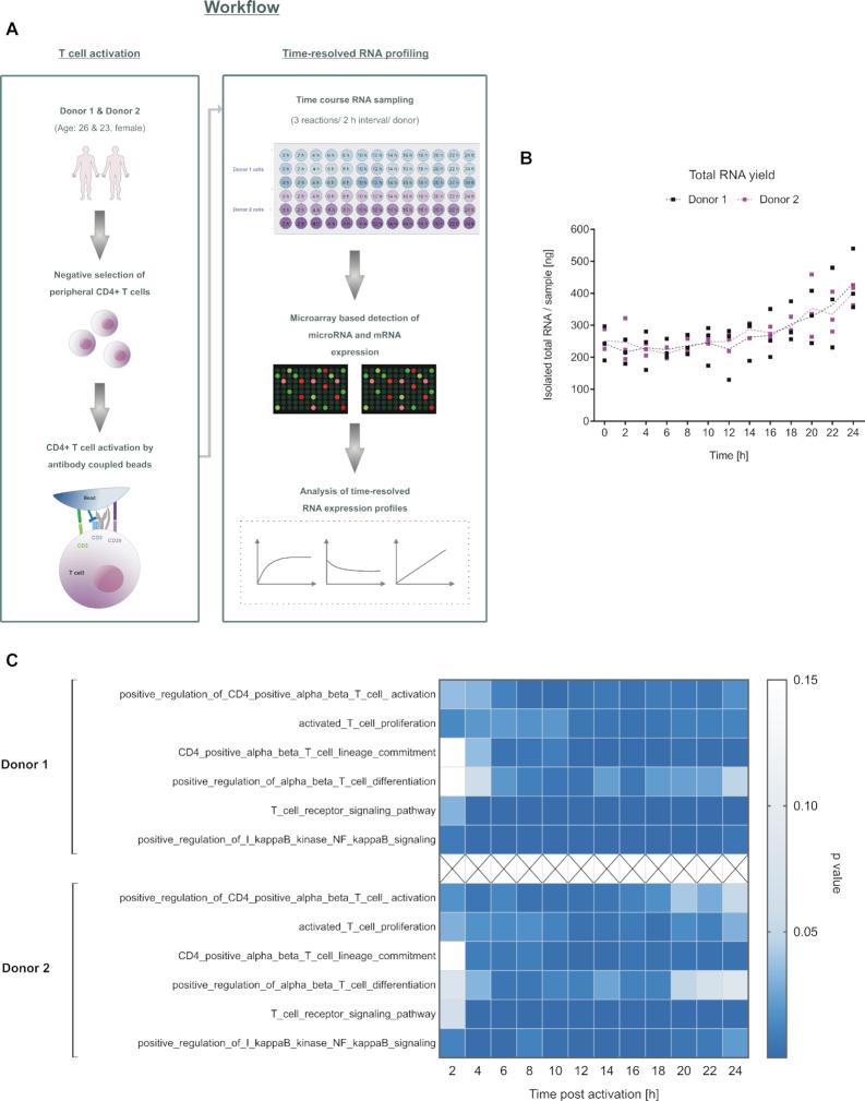 https://cdn.ncbi.nlm.nih.gov/pmc/blobs/8c56/7544210/578049d8b89e/gkaa788fig1.jpg