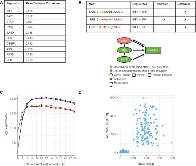 https://cdn.ncbi.nlm.nih.gov/pmc/blobs/8c56/7544210/dc77c7a417a3/gkaa788fig6.jpg