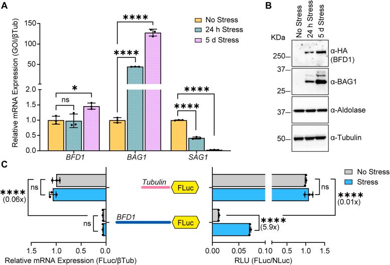 https://cdn.ncbi.nlm.nih.gov/pmc/blobs/8c5c/11697163/943bcfd07681/gr1.jpg