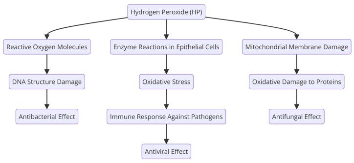 https://cdn.ncbi.nlm.nih.gov/pmc/blobs/8c6f/11357206/933d6596bc57/molecules-29-03802-g012.jpg