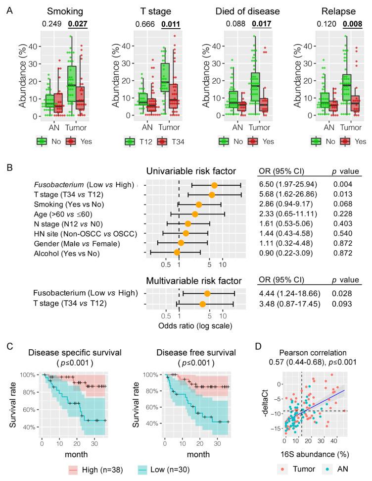 https://cdn.ncbi.nlm.nih.gov/pmc/blobs/8c87/7698865/f9b8d0d03c5d/cancers-12-03425-g003.jpg