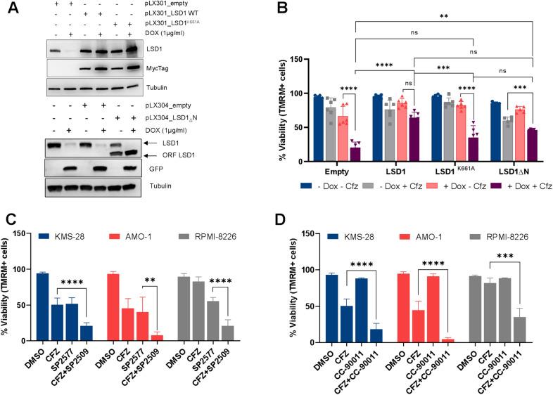 https://cdn.ncbi.nlm.nih.gov/pmc/blobs/8c9d/10413620/205fedc128fa/40164_2023_434_Fig4_HTML.jpg