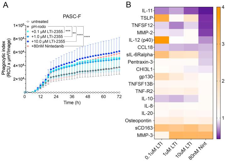 https://cdn.ncbi.nlm.nih.gov/pmc/blobs/8cb9/12024842/50c45d41b401/biomedicines-13-00796-g005.jpg