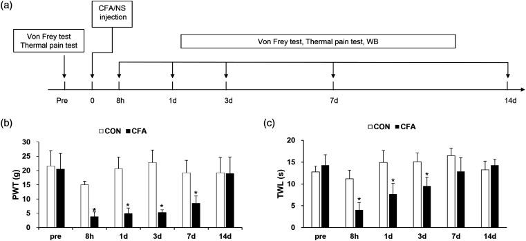 https://cdn.ncbi.nlm.nih.gov/pmc/blobs/8cd0/9720829/2768d06a4e07/10.1177_17448069221143671-fig1.jpg