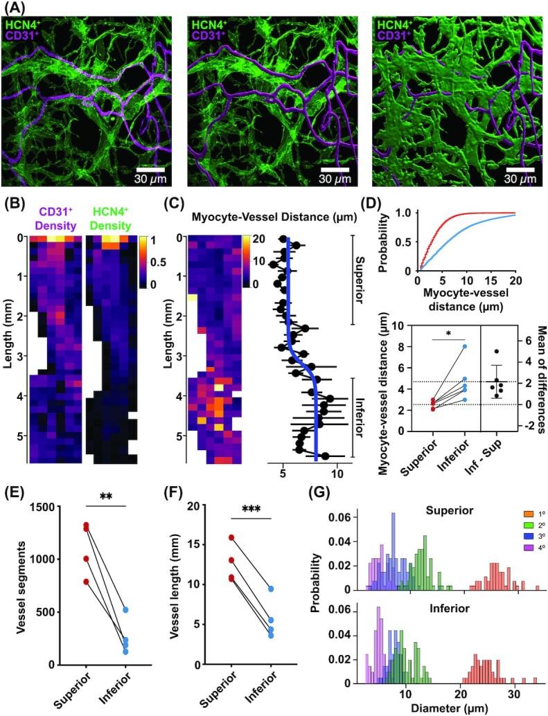 https://cdn.ncbi.nlm.nih.gov/pmc/blobs/8ce9/8788841/81018ffd8ffc/zqab031fig2.jpg