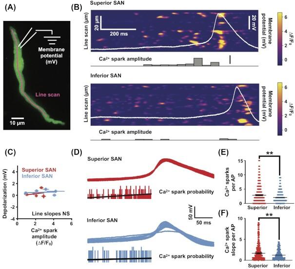 https://cdn.ncbi.nlm.nih.gov/pmc/blobs/8ce9/8788841/a287828cd209/zqab031fig9.jpg
